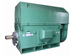YKK5001-10/315KWY系列6KV高压电机