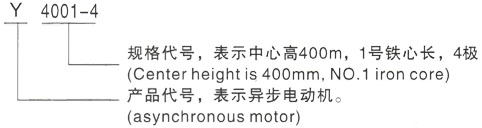 西安泰富西玛Y系列(H355-1000)高压YKK5001-10/315KW三相异步电机型号说明